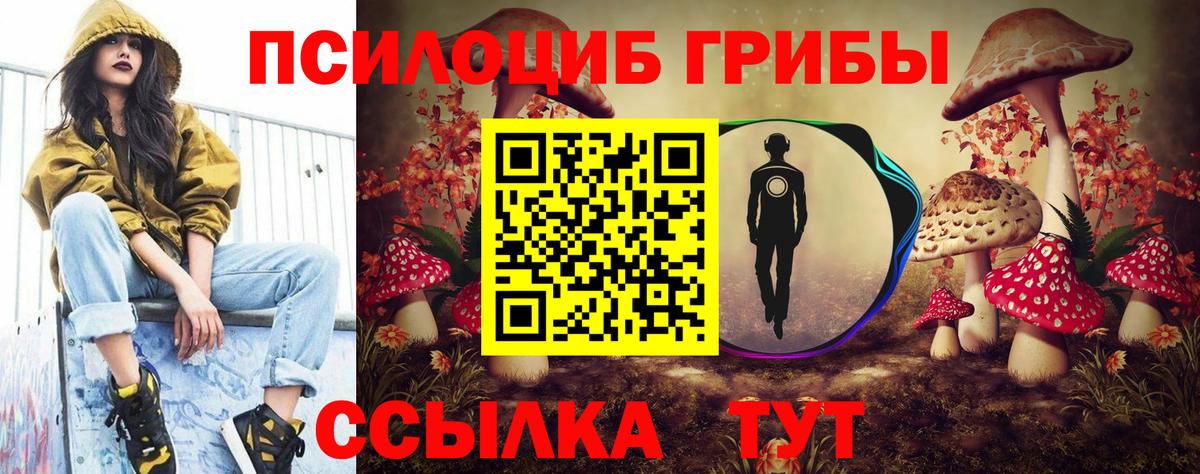 Галлюциногенные грибы Magic Shrooms  Галлюциногенные грибы Magic Shrooms  Вход с VPN  Хасавюрт 